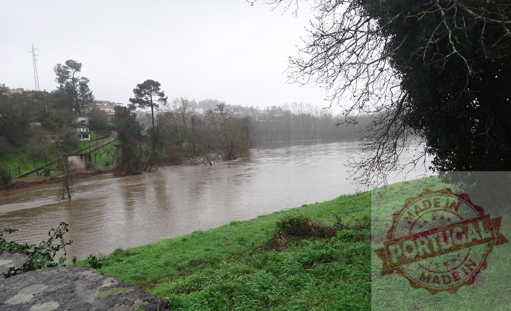 River flood waters overflowing banks on a rainy day. Portugal floods 02.26 - Paco de Sousa, Penafiel | Murky river water rising, submerging trees from heavy rain and flooding - Realisiert mit Pictrs.com