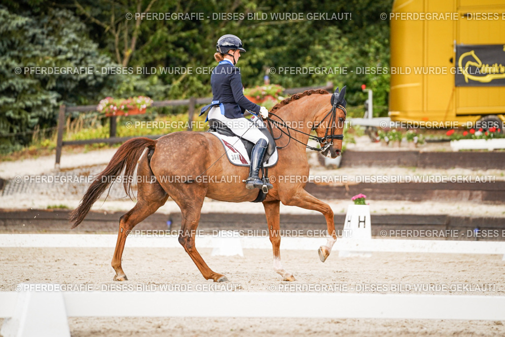 DSC08859 | Pferdegrafie