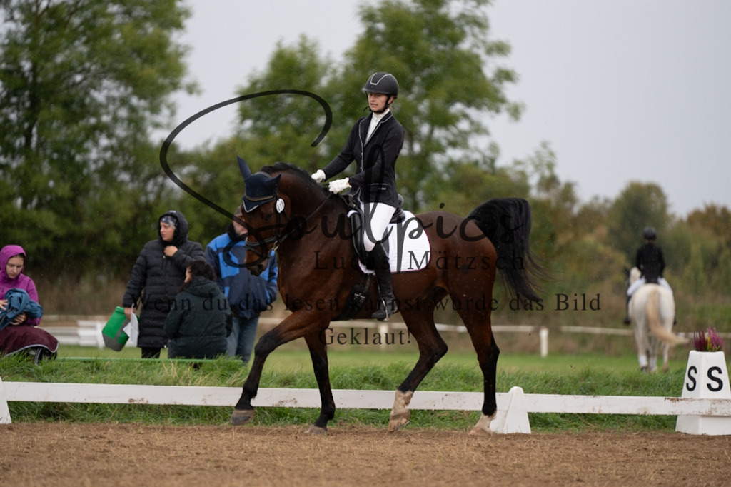 A7V05646 | Pferdefotograf