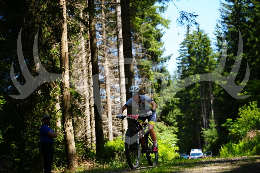 FC101906 | Fotogalerie der Treibjagd im Dunkelwald - Dein MTB Etappenrennen im Erzgebirge - Realisiert mit Pictrs.com