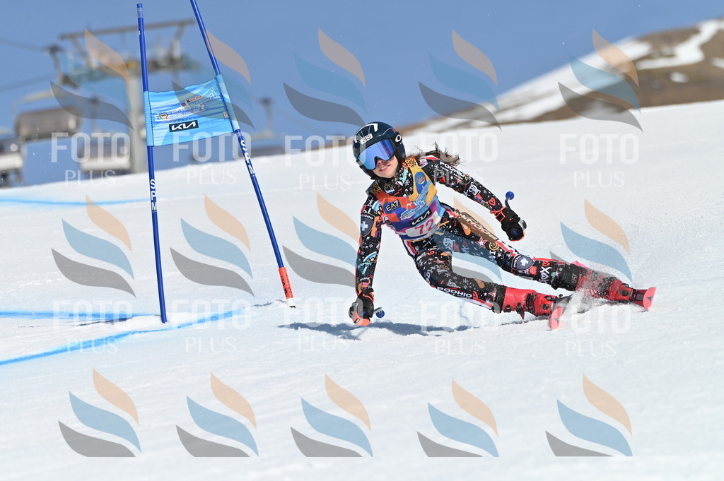 BGV_8944 | holidayphoto