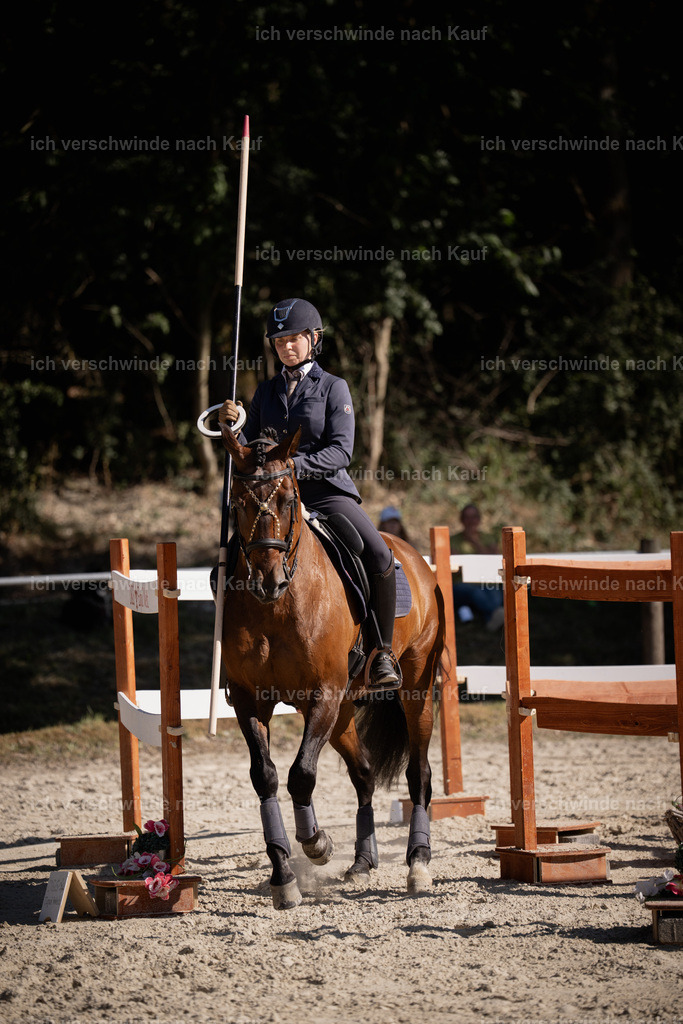 WS_ST_46_stoibphotography_SO11818 | working equitationturnier fotograf videograf stoibphotography marixx film working equitation deutschland reitsport turnierfotografie eventfotografie equestrian events