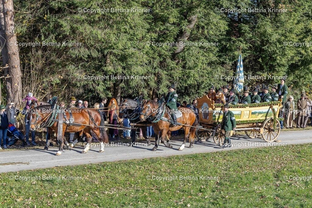 LBT25-411 | foto-bettina-krinner - Realisiert mit Pictrs.com