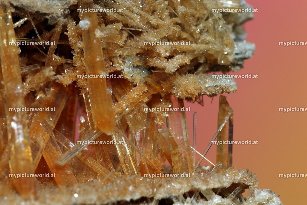 Gipsspat-002 | Das Bilderarchiv über Tiere, Planzen und Landschaften. In der Bilddatenbank finden Sie ein große Auswahl an hochwertigen Bilder für Ihre Werbung - Realized with Pictrs.com