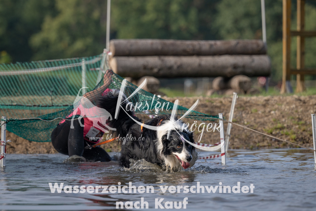 1015_ZZ92515 | kk-dogfotos
