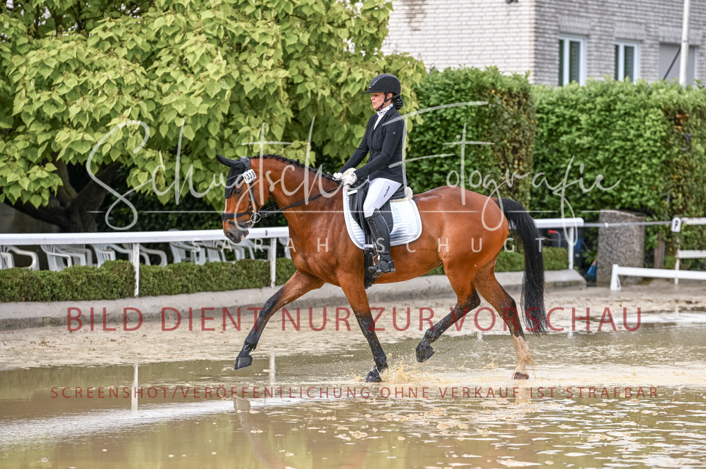 Schugtsche-Aluta25-54.Dressurprf.L1Trense-169 | Schugtsche Fotografie - Realizzato con Pictrs.com