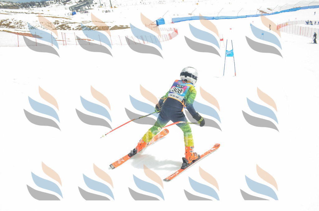 _ELE8364 | holidayphoto