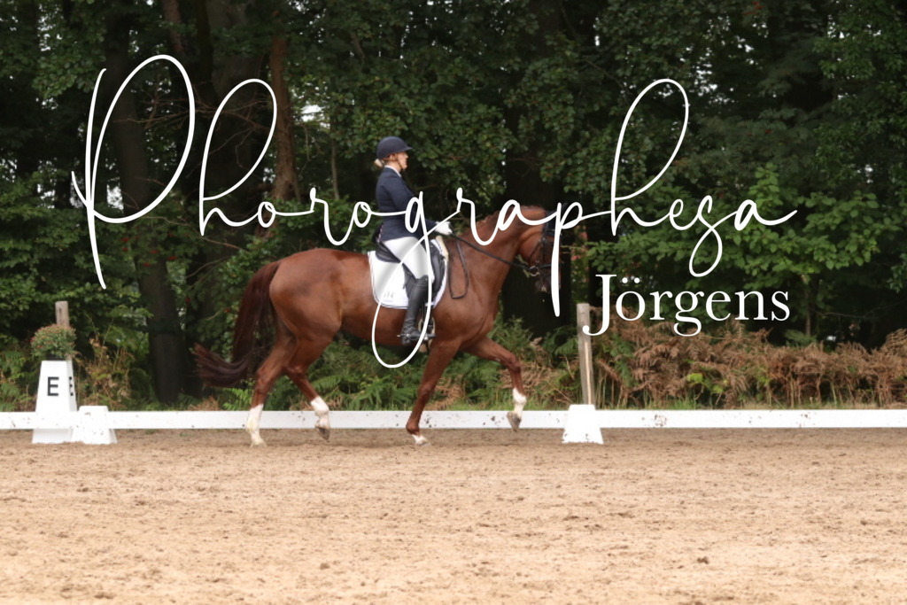 IMG_9892 | photographesa-joergens - Realisiert mit Pictrs.com