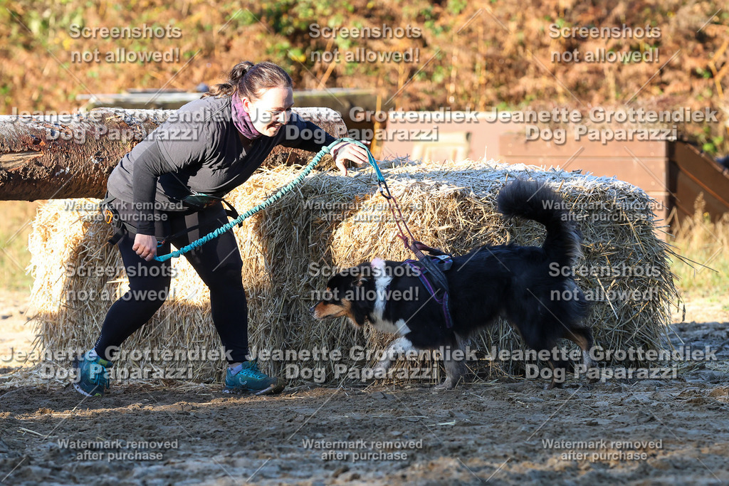 Dog Paparazzi - Strongdog 10-25-708 | Dog Paparazzi Jeanette Grottendiek Fotografie & Videografie - Realisiert mit Pictrs.com