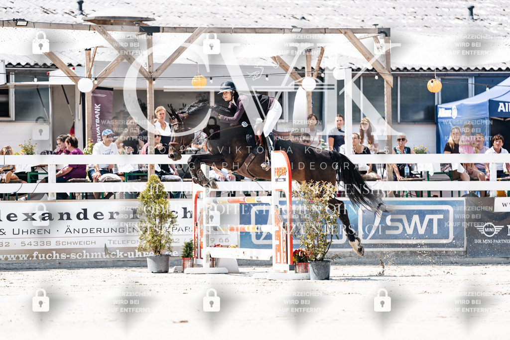 CK909431 | Turnierfotografie Pferdefotografie Trier Rheinland-Pfalz Pferdesport Reitsport Tierfotografie Sportfotografie Pferdevideo Pferdevideografie Equestrianvideography equestrianphotography  - Realisiert mit Pictrs.com