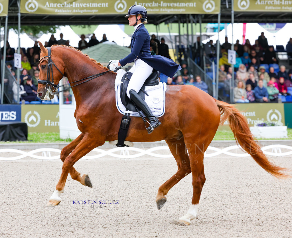 1B3A7222 | Reitsport Reiten