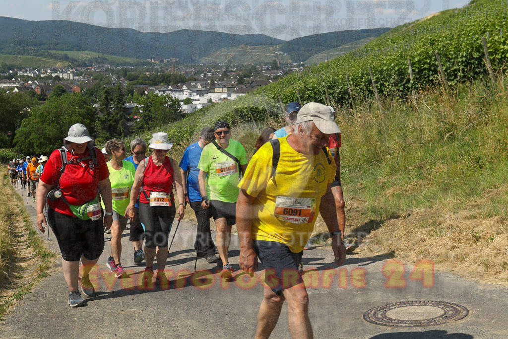 230617_1110_EV9_7788 | Sportfotografie im Rhein-Sieg Kreis, Köln, Bonn, NRW, Rheinland Pfalz, Hessen, etc. Unser Tätigkeitsfeld umfasst den Laufsport vom Volkslauf über den Marathon, Duathlon, Triathon bis zum Ultralauf wie Kölnpfad Ultra oder Schindertrail.
