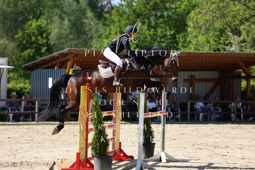 IMGS9929 | pl-fotografie