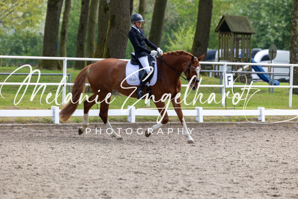 7I8A0171 | melanie-engelhardt-photography - Realisiert mit Pictrs.com