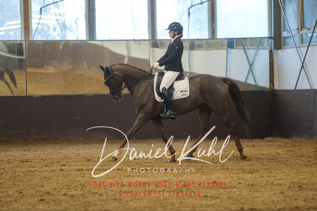IMG_7503 | Turniersportfotografie; Pferdefotografie; Dressurfotografie