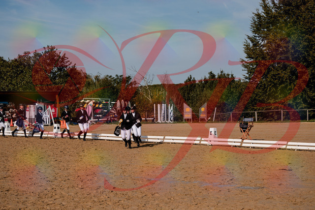 2026_10_03_Siefer-Hof_124925_Z63_60758275 | Professionelle Reitsport-, Turnier- und Eventfotografie von Robert Broda. Galerien mit ausgewählten und bearbeiteten Bildern direkt online ansehen und bestellen.