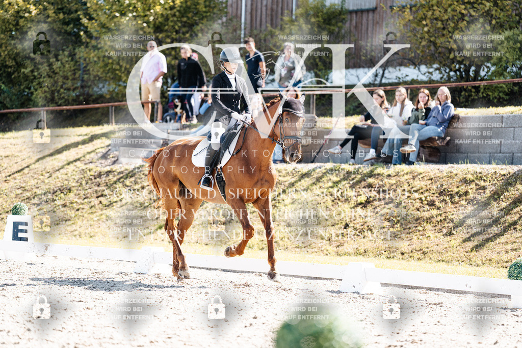 CK902867 | Turnierfotografie Pferdefotografie Trier Rheinland-Pfalz Pferdesport Reitsport Tierfotografie Sportfotografie Pferdevideo Pferdevideografie Equestrianvideography equestrianphotography  - Realisiert mit Pictrs.com