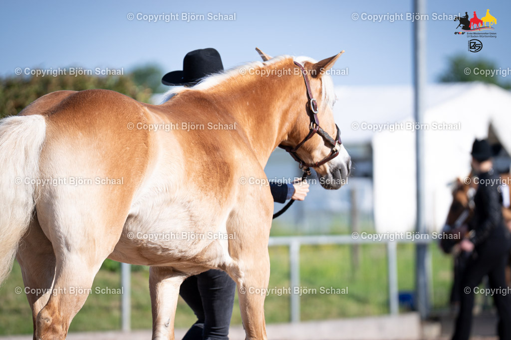 LMB07083 | BS-foto