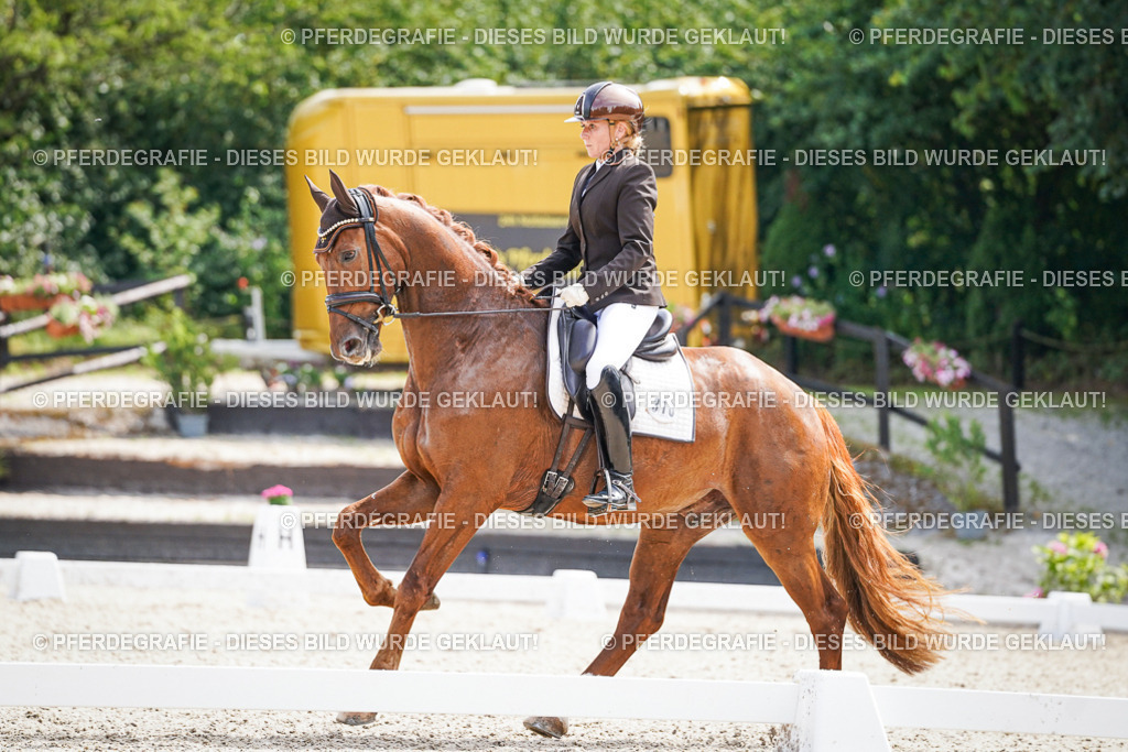 DSC09881 | Pferdegrafie