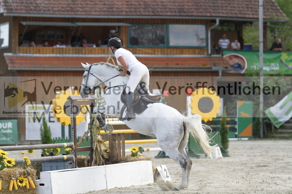_MG_6194 | equestrian-live-com