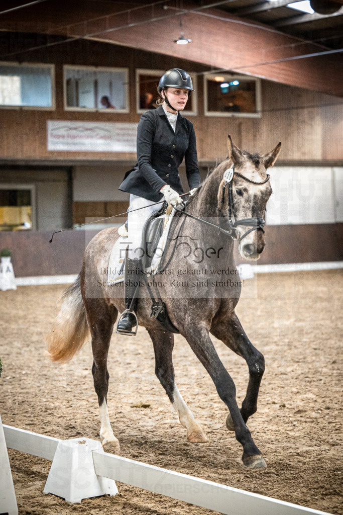 DOS_1166 | Entdecke hochwertige Reitturnierfotos von Foto Oger. Professionell, emotional und authentisch – jetzt Lieblingsmomente im Shop bestellen.Deutschlandweite Turnierfotografie. - Realisiert mit Pictrs.com