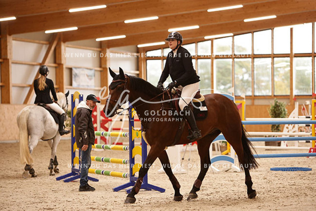 1J2A8394Catharina Friederike Glöe_ Reffaello_ Kn440_ Glantz_ Hohen Wieschendorf | Foto- und Videografie für alles rund ums Pferd. Hochwertige Bilder und Videos vom Spring- und Dressurreiten, Voltigieren & mehr. Jetzt aktuelle Veranstaltungen und Preise im Shop ansehen. - Realisiert mit Pictrs.com