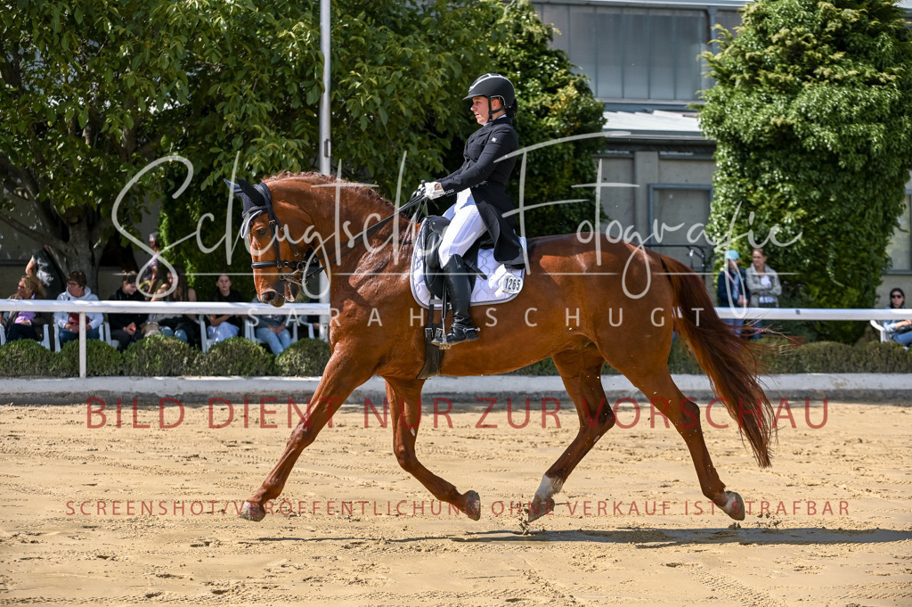Schugtsche-Aluta25-58. Dressurprf.S1Kand.St.GeorgSpecial-237 | Schugtsche Fotografie - Realisiert mit Pictrs.com