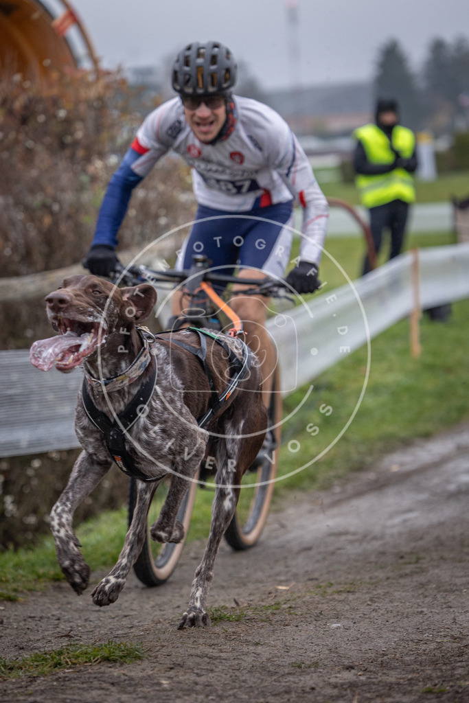 CaniXpix_0L8A0955 | Hundefotografie, Tierfotograf, Pfotenfotografie, Fotoshooting Hund, Hunde Portrait, Hundesport, Hundeportraits, Heideshooting, Hunde, Sportfotograf, Hundefotograf, Turnierhundsport, THS,  - Realisiert mit Pictrs.com