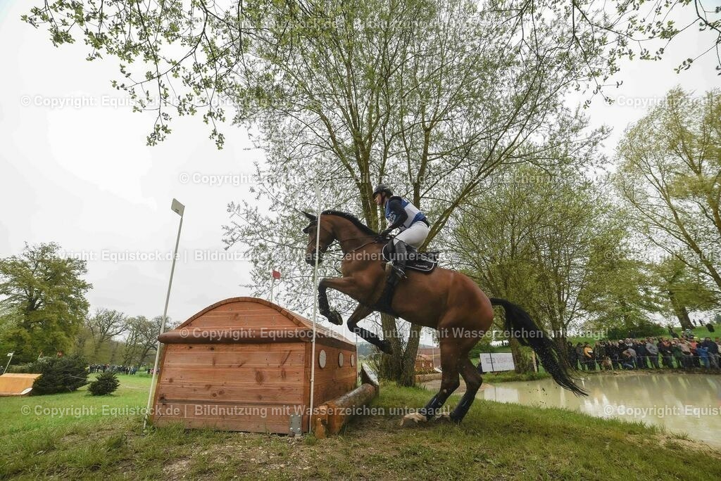 20230513_CCI4_Gelände_0348 | equistock