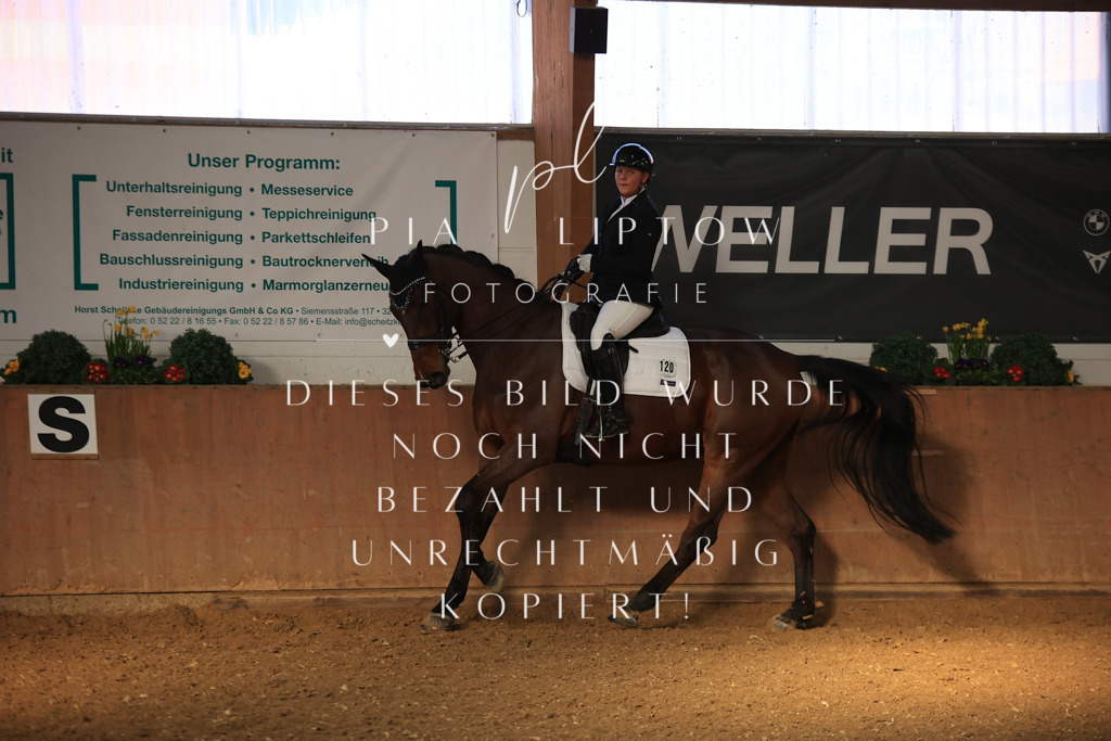 IMGT1341 | pl-fotografie