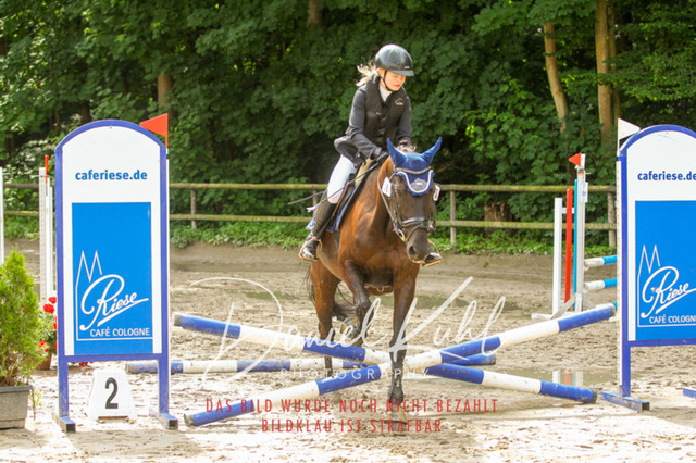 DKP44636 | Turniersportfotografie; Pferdefotografie; Dressurfotografie