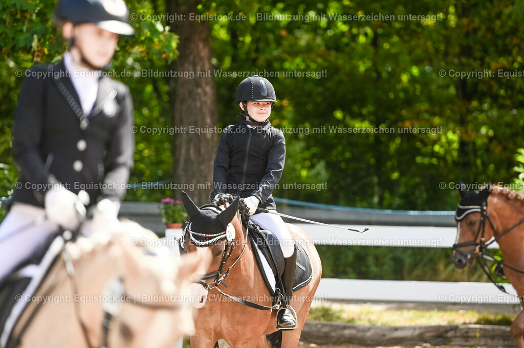 20230716_10-3_Reiter-WB Schritt - Trab - Galopp_0010 | equistock
