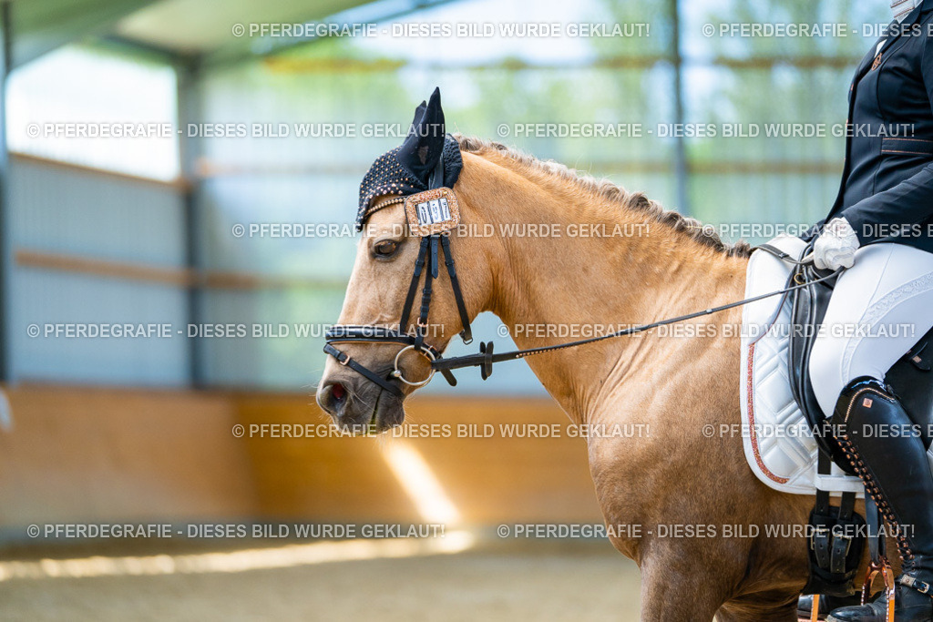 DSC09191 | Pferdegrafie