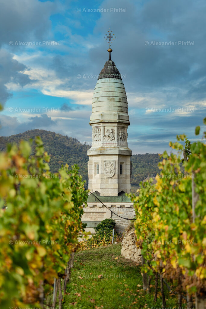 foto_c_pfeffel-partner-0071-R52_0155-Bearbeitet | alexander-pfeffel - Realisiert mit Pictrs.com