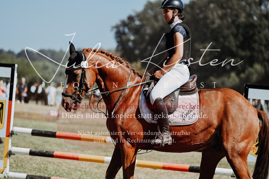 DSC_0108 | Pferde- und Turnierfotografie in Westsachsen. Pferdeportraits, Auftragszeichnungen und intuitive Kunst.