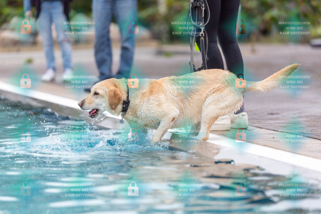 _HP_7145_1000o | HetPix, HetPix Fotodesign, Fotografie, Fotodesign, Webshop, Motorsport, American Football, Event, Events, Onlineshop, Sportfotografie, Polch, Motorsportfotografie, Eventfotografie