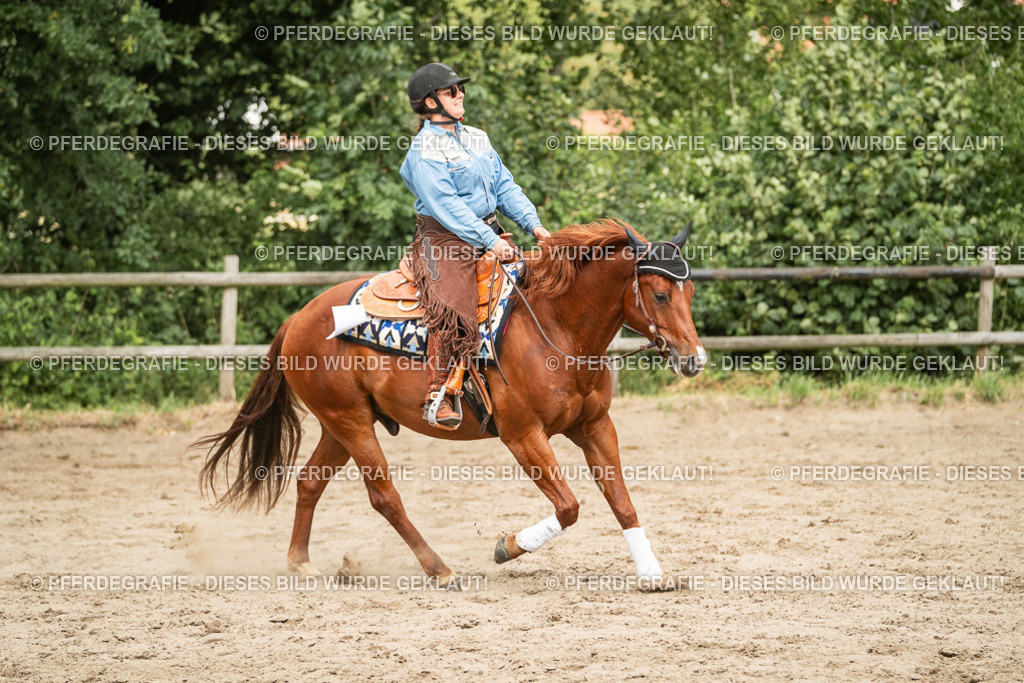 DSC03539 | Pferdegrafie