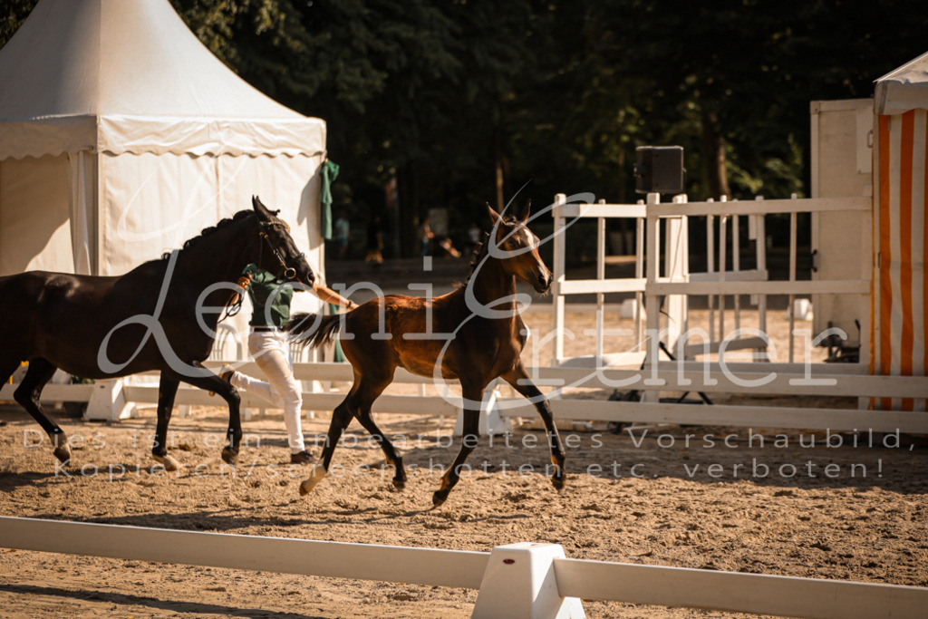 11.DoRP00074 | Leoni Ertmer Photography - Realisiert mit Pictrs.com