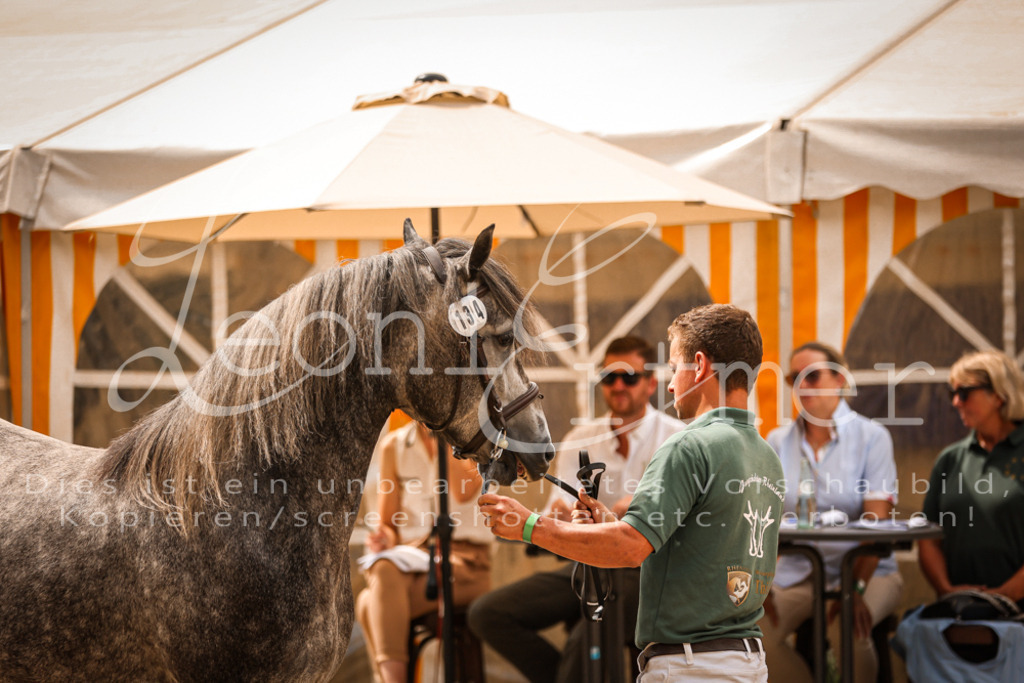 04.So00072 | Leoni Ertmer Photography - Realisiert mit Pictrs.com