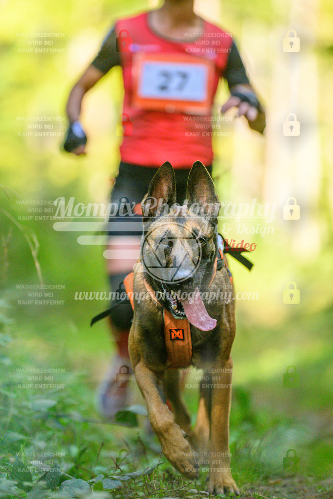 MompixPhotography_Yens2025_B1-99 | PayLife