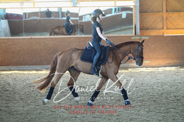 DKP42473 | Turniersportfotografie; Pferdefotografie; Dressurfotografie