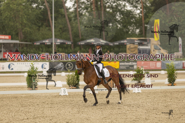 SW 4-729 | mandyhollmannphotographie