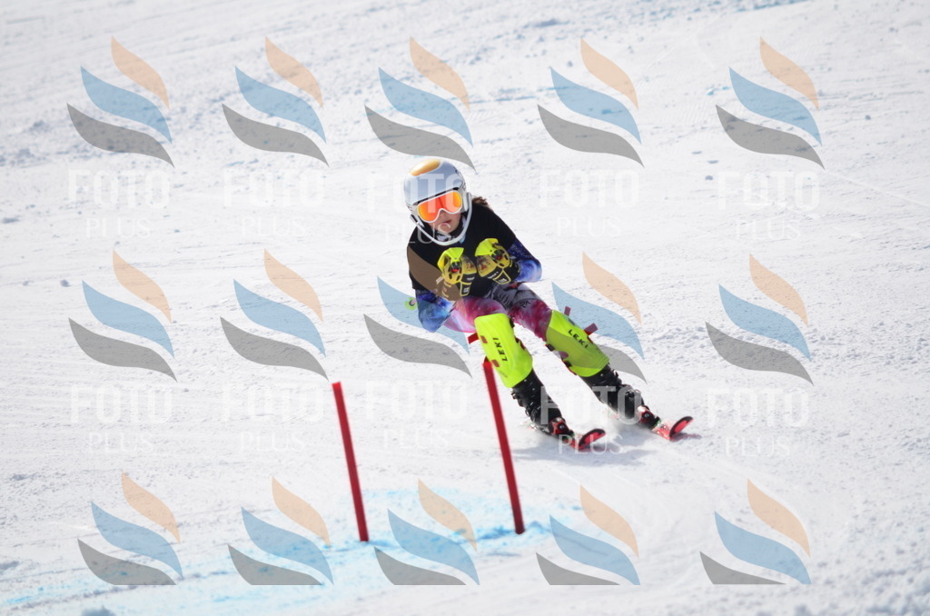 C9988 | holidayphoto