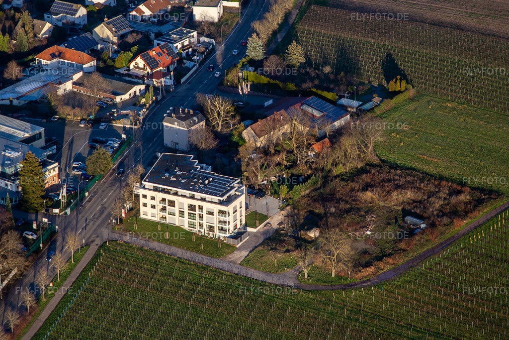 Luftbild: Wollmesheimer Höhe in Landau in der Pfalz im Bundesland Rheinland-Pfalz in Deutschland. Foto: IMG_135807.jpg vom 18.01.2023 durch Werner Riehm/FLY-FOTO.de