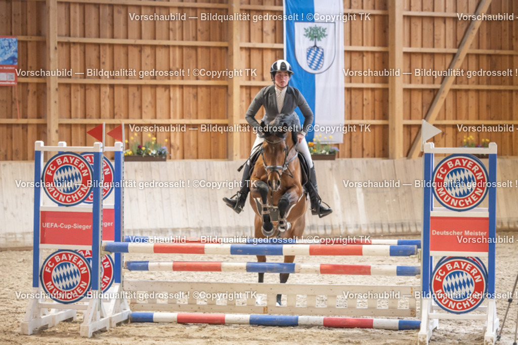 _D5A7266 | Emotionale Pferde- & People-Fotografie rund um Heidelberg, Leimen & Umgebung. Natürliche Fotos von Pferd, Mensch & Familie. Jetzt Termin sichern!