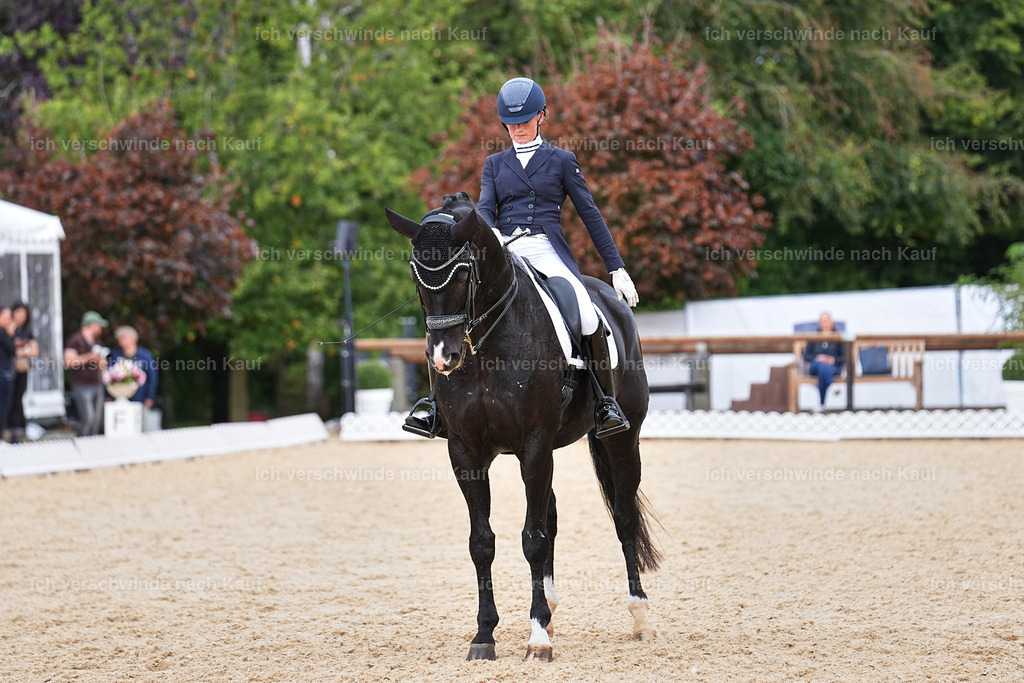 11-042-Dressur S___-Marixx-1677 | working equitationturnier fotograf videograf stoibphotography marixx film working equitation deutschland reitsport turnierfotografie eventfotografie equestrian events