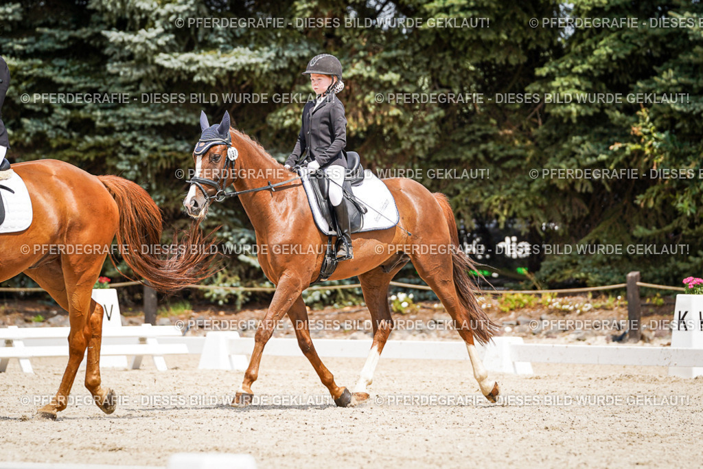 DSC03297 | Pferdegrafie