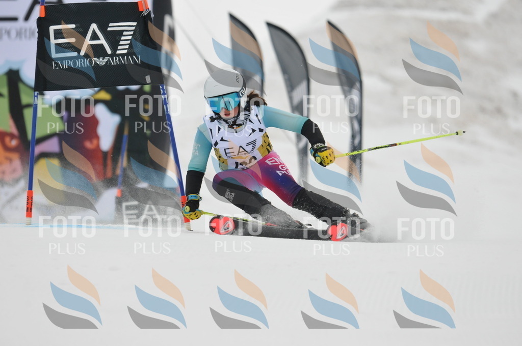 DSC_8285 | holidayphoto