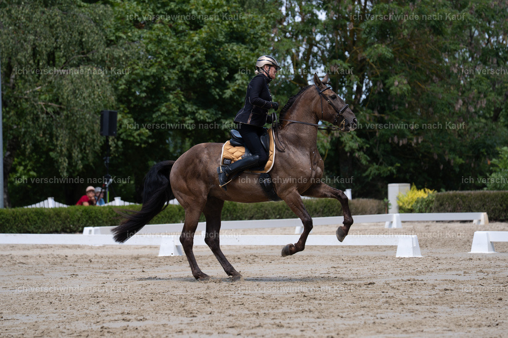 WS_DR_60_sinafilmart_IN02673 | working equitationturnier fotograf videograf stoibphotography marixx film working equitation deutschland reitsport turnierfotografie eventfotografie equestrian events