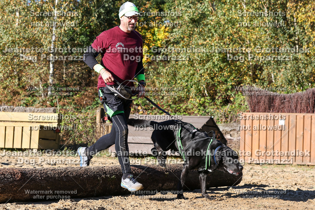 Dog Paparazzi - Strongdog 10-25-1915 | Dog Paparazzi Jeanette Grottendiek Fotografie & Videografie - Realisiert mit Pictrs.com